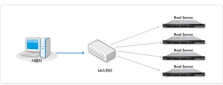 L4 Switch Load Balance